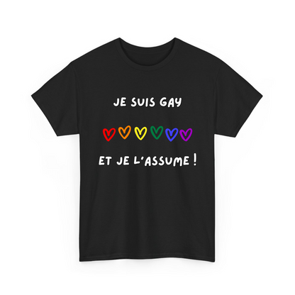 Je suis gay et je l’assume
