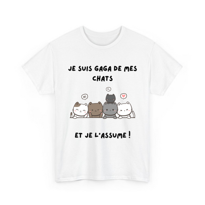 Je suis gaga de mes chats et je l'assume