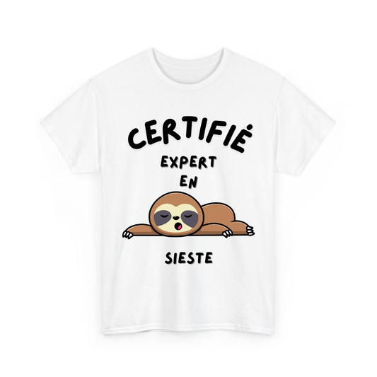 Certifié/certifiée expert/experte en sieste